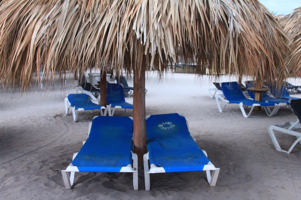 Think these two have our name on them